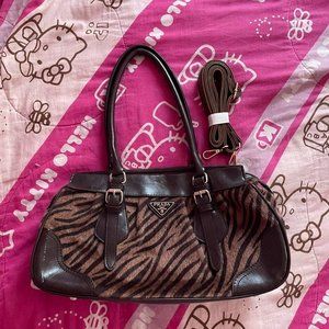 Tiger Print Bag